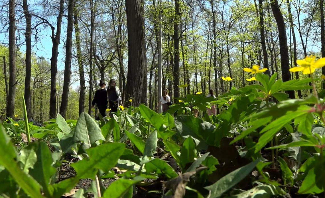 В Пензе на несколько дней закроют Олимпийскую аллею